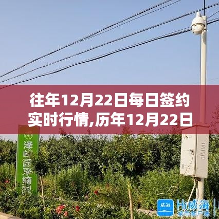 揭秘歷年與實時動態，12月22日簽約行情深度解析與商機洞察