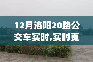 12月洛陽20路公交車實時動態，暢游古都的便捷交通選擇