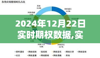 2024年12月22日實時期權數據深度解析與應用指南