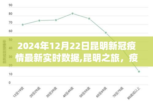 昆明新冠疫情最新實時數據下的綠洲之旅，尋找內心的寧靜與力量