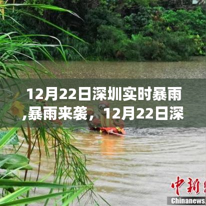 深圳暴雨來襲，深度解析12月22日實時暴雨事件