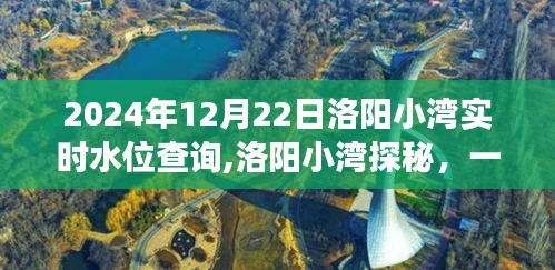 洛陽小灣水位查詢與心靈之旅，探尋自然美景與內(nèi)心平靜之路