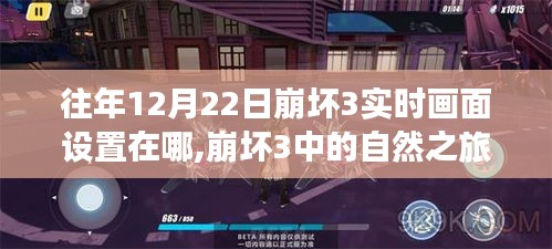崩壞3實時畫面設置揭秘，自然之旅與內心的平靜魔法