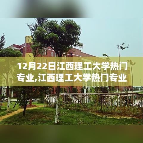 神采飛揚 第2頁