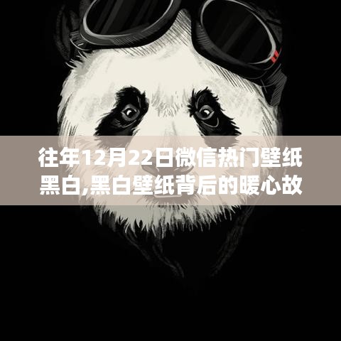 黑白壁紙背后的暖心故事，微信熱門壁紙與溫馨朋友聚會(huì)的回憶
