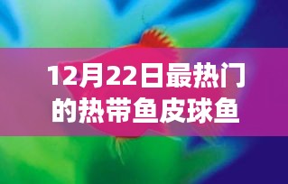 孜孜不倦 第2頁