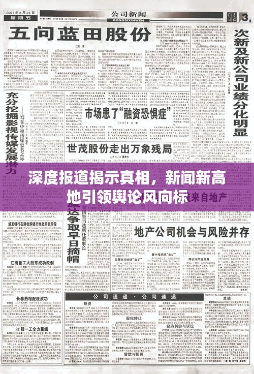 深度報道揭示真相，新聞新高地引領輿論風向標