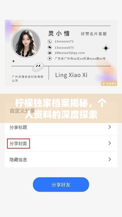 檸檬獨家檔案揭秘，個人資料的深度探索