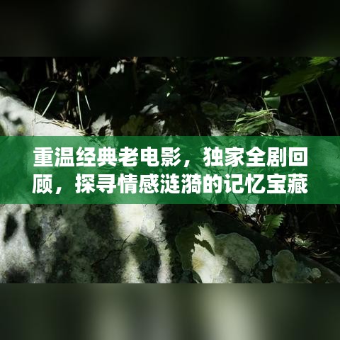 重溫經典老電影，獨家全劇回顧，探尋情感漣漪的記憶寶藏
