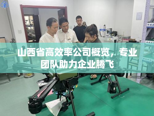 山西省高效率公司概覽，專業團隊助力企業騰飛