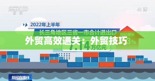 外貿(mào)高效通關(guān)：外貿(mào)技巧 
