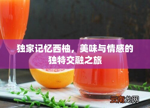 獨(dú)家記憶西柚，美味與情感的獨(dú)特交融之旅