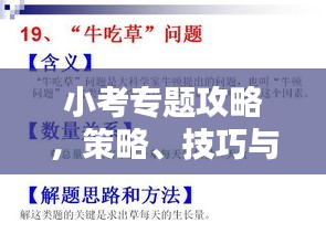 小考專題攻略，策略、技巧與知識要點一網(wǎng)打盡