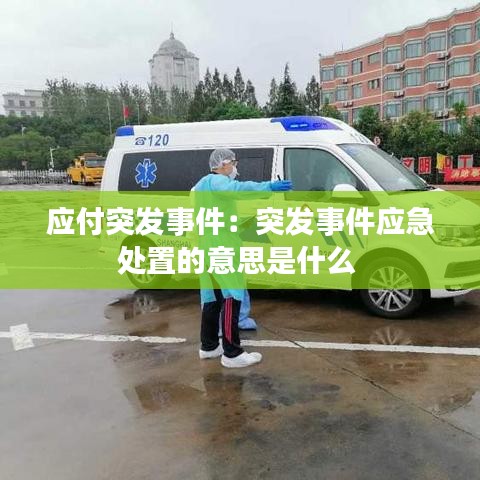 應付突發事件：突發事件應急處置的意思是什么 