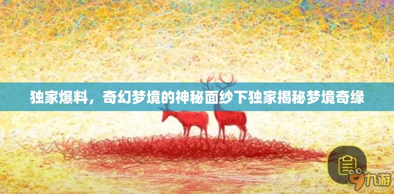 獨家爆料，奇幻夢境的神秘面紗下獨家揭秘夢境奇緣