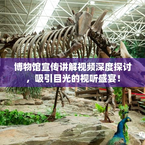 博物館宣傳講解視頻深度探討，吸引目光的視聽(tīng)盛宴！
