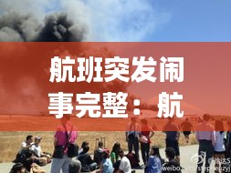 航班突發鬧事完整：航班失事視頻 