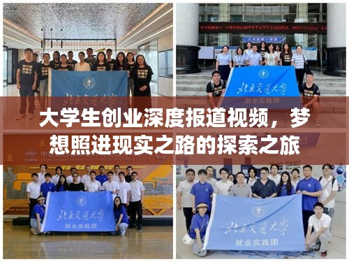 大學生創(chuàng)業(yè)深度報道視頻，夢想照進現實之路的探索之旅