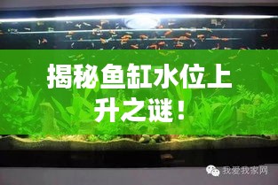風(fēng)雨同舟 第2頁