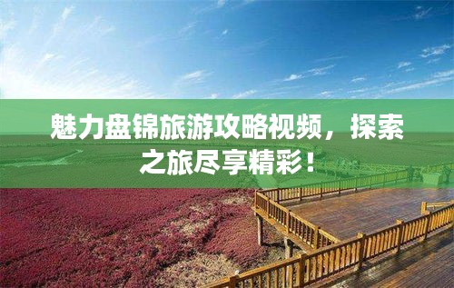 魅力盤錦旅游攻略視頻，探索之旅盡享精彩！