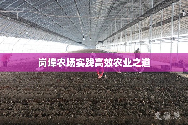 崗埠農場實踐高效農業之道