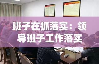班子在抓落實：領導班子工作落實方面存在的問題及整改措施 