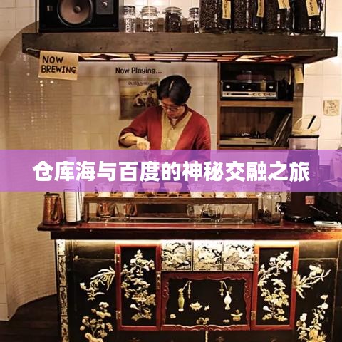 倉庫海與百度的神秘交融之旅