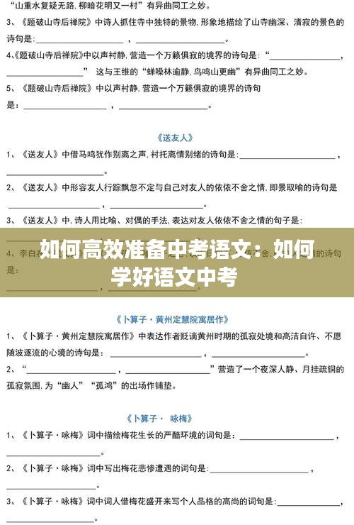 如何高效準(zhǔn)備中考語(yǔ)文：如何學(xué)好語(yǔ)文中考 