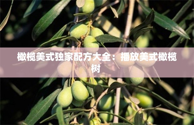 橄欖美式獨(dú)家配方大全：播放美式橄欖樹 