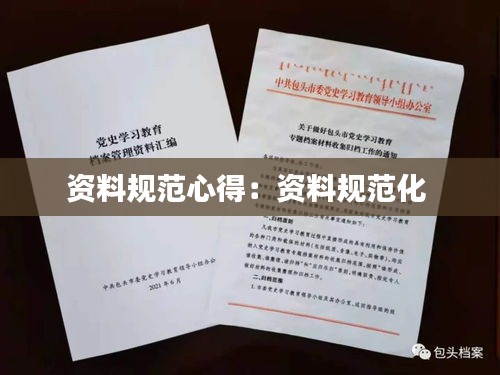 資料規范心得：資料規范化 