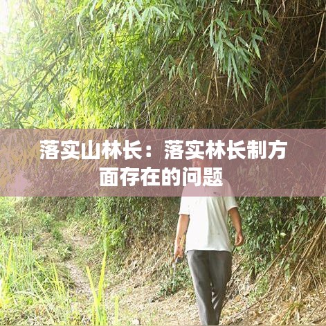 落實山林長：落實林長制方面存在的問題 