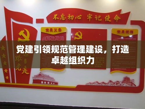黨建引領規范管理建設，打造卓越組織力