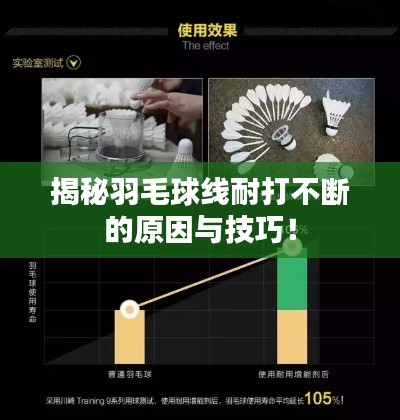 不飛則已 第2頁(yè)