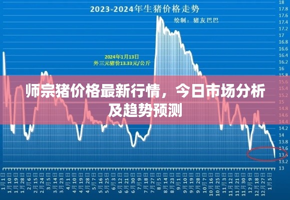 師宗豬價格最新行情，今日市場分析及趨勢預(yù)測