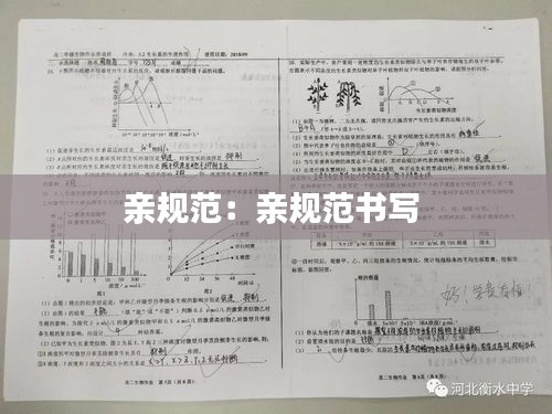 親規范：親規范書寫 