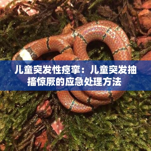 籠鳥檻猿 第2頁
