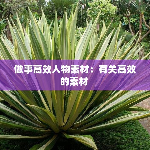 做事高效人物素材：有關(guān)高效的素材 