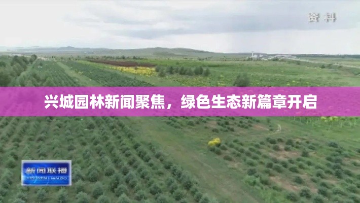興城園林新聞聚焦，綠色生態新篇章開啟