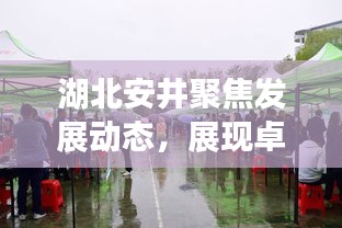 湖北安井聚焦發展動態，展現卓越企業風采，新聞頭條搶先看