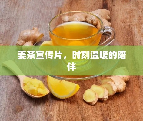 姜茶宣傳片，時刻溫暖的陪伴