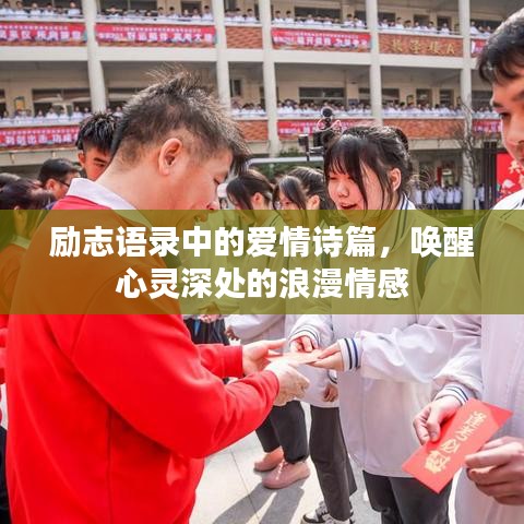 勵志語錄中的愛情詩篇，喚醒心靈深處的浪漫情感
