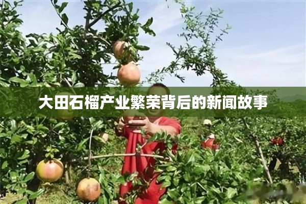 大田石榴產業繁榮背后的新聞故事