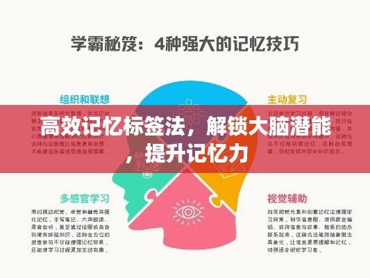 高效記憶標簽法，解鎖大腦潛能，提升記憶力