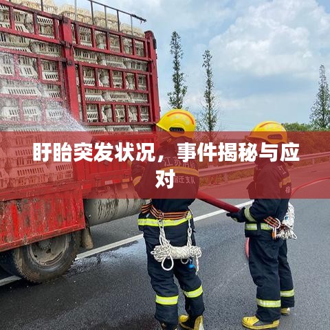 盱眙突發狀況，事件揭秘與應對