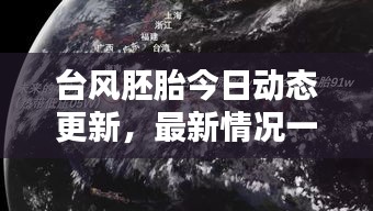 臺風胚胎今日動態更新，最新情況一覽