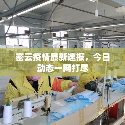 密云疫情最新速報，今日動態(tài)一網(wǎng)打盡