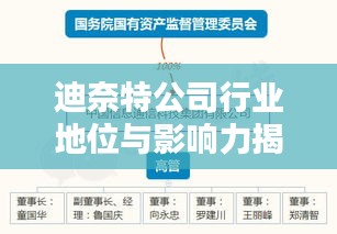 迪奈特公司行業地位與影響力揭秘，深度解析排名數據