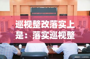 巡視整改落實上是：落實巡視整改中存在的問題 