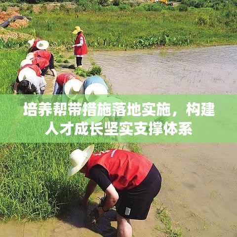 培養(yǎng)幫帶措施落地實(shí)施，構(gòu)建人才成長堅(jiān)實(shí)支撐體系