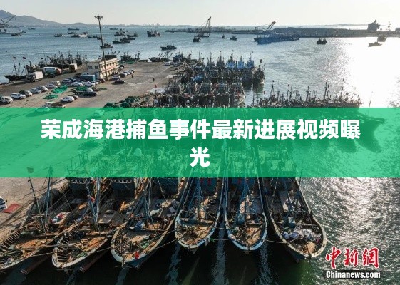 榮成海港捕魚事件最新進(jìn)展視頻曝光
